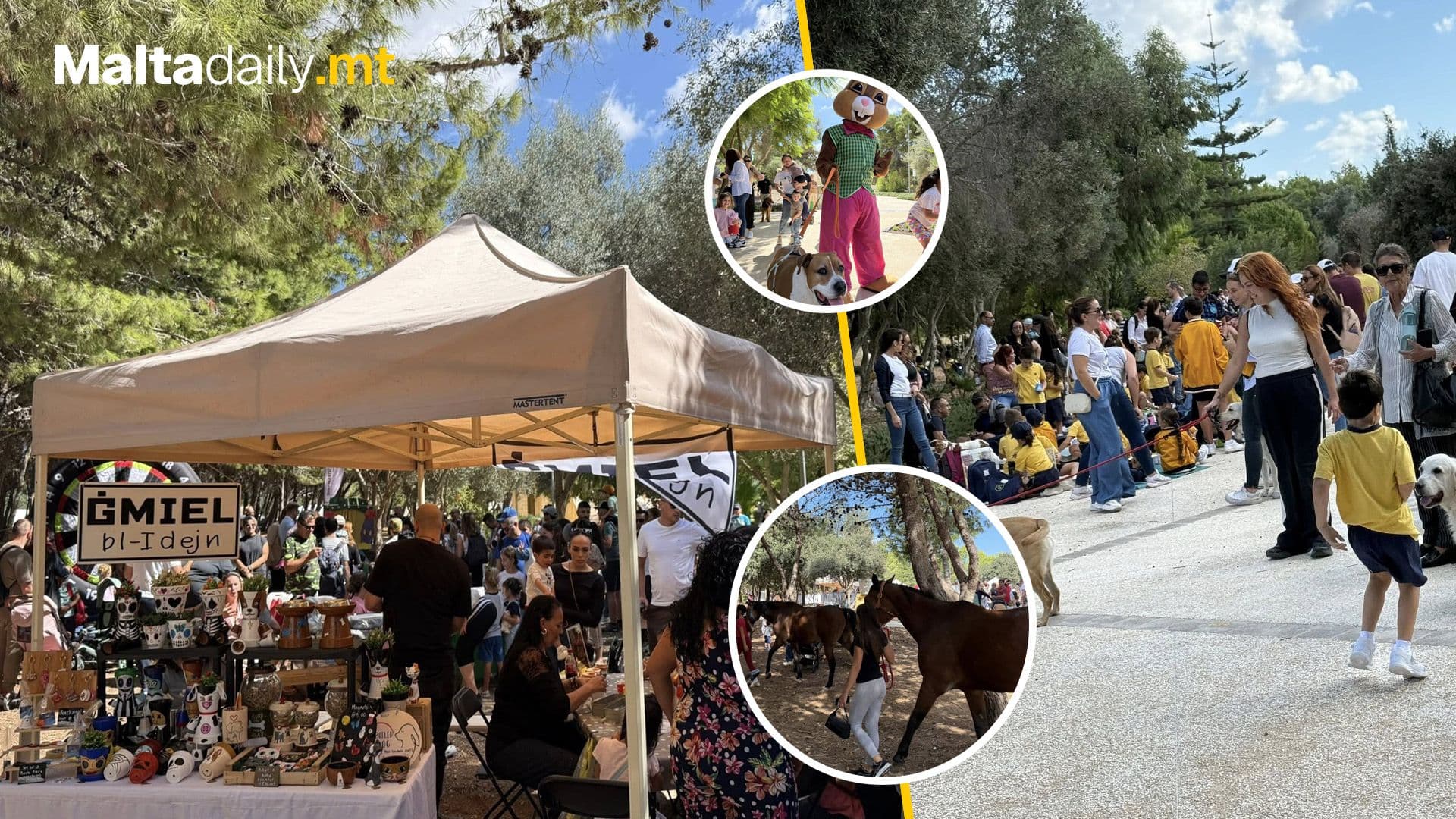 People Gather In Ta Qali For Blessing Of Animals in Festa Annimali