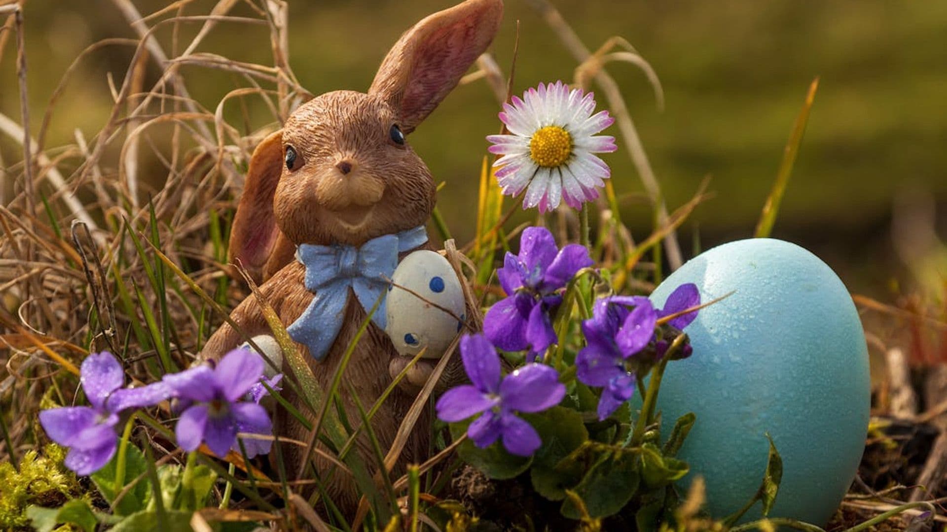 Why Do We Gift Chocolate Easter Eggs? The Sweet Tradition Behind Them