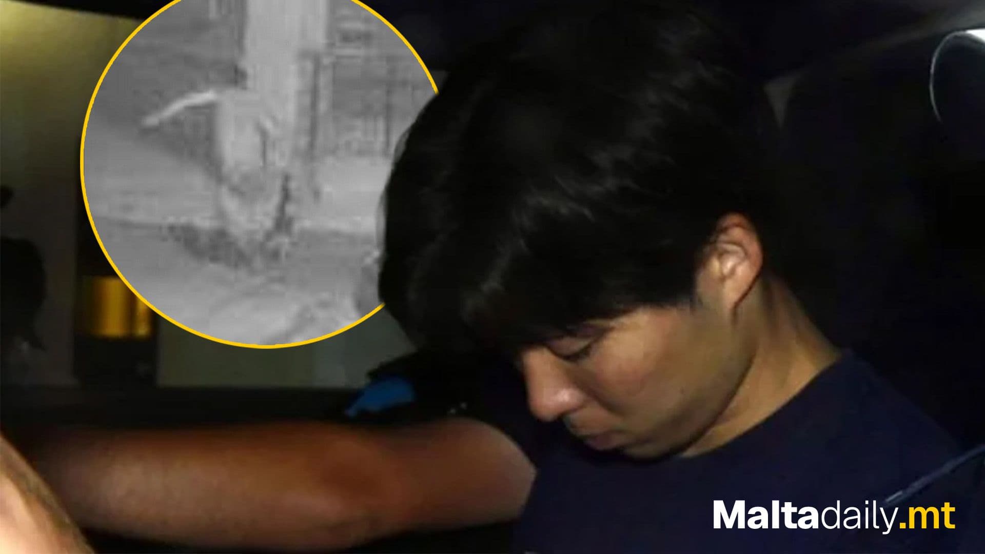 Japanese Man Who Killed Cats Compared Them To “Gold-Digging” Women, Court Hears