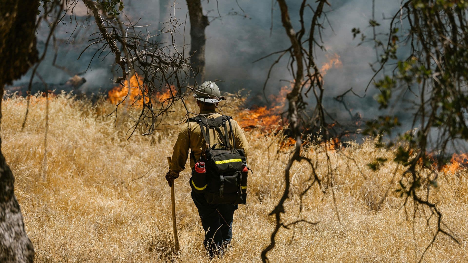 2025 AMONG THE HOTTEST YEARS EVER AS CLIMATE CRISIS INTENSIFIES