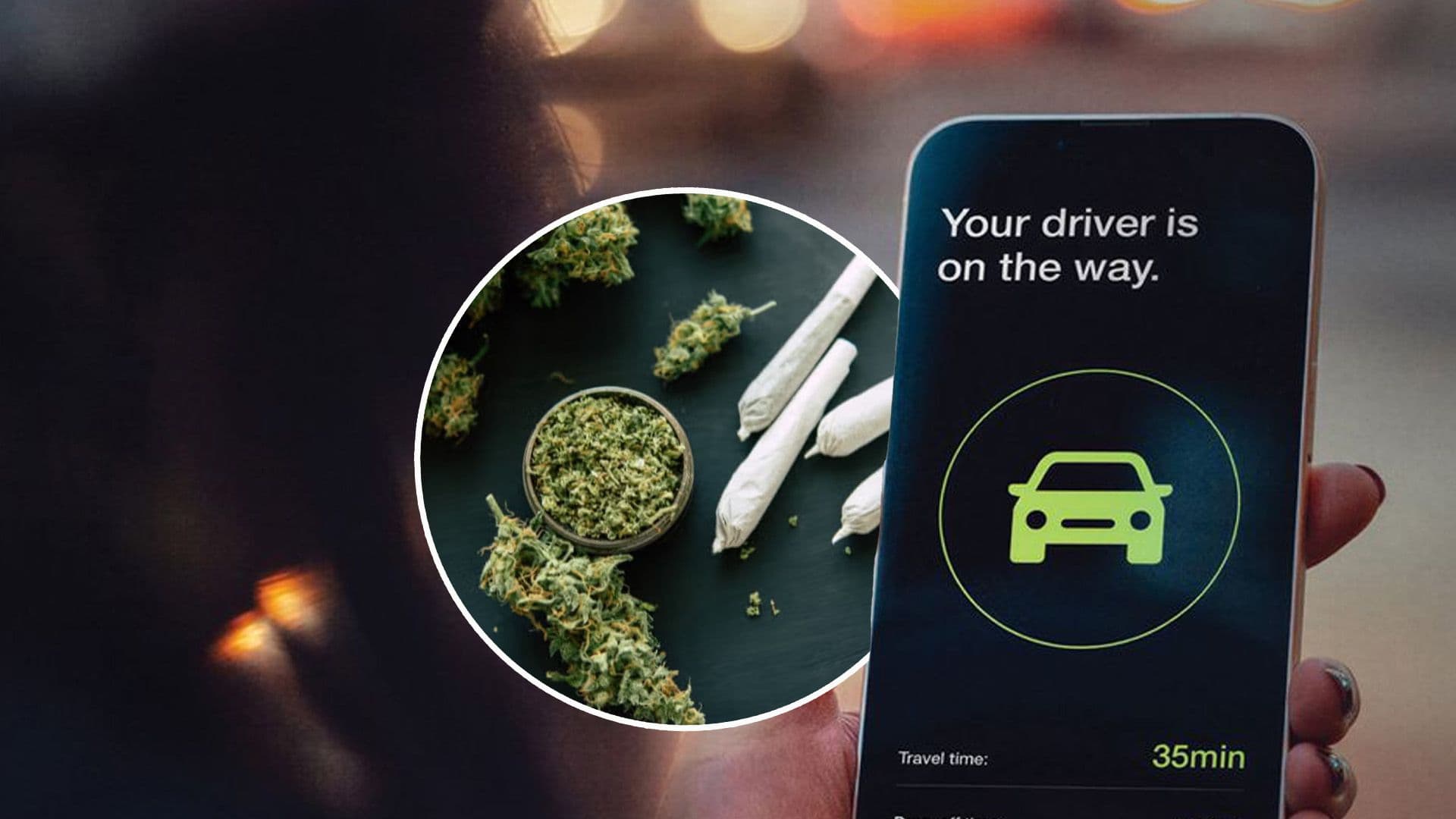 Authority For The Responsible Use Of Cannabis Launch Christmas Campaign