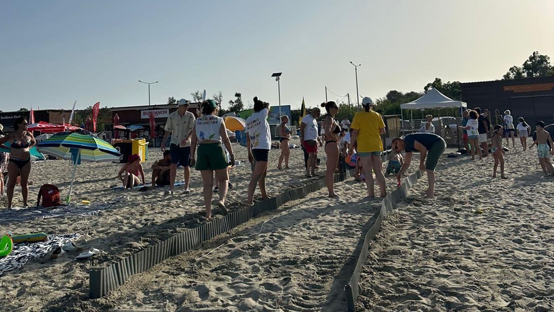 Runway Ready For Baby Turtles In Għadira Bay