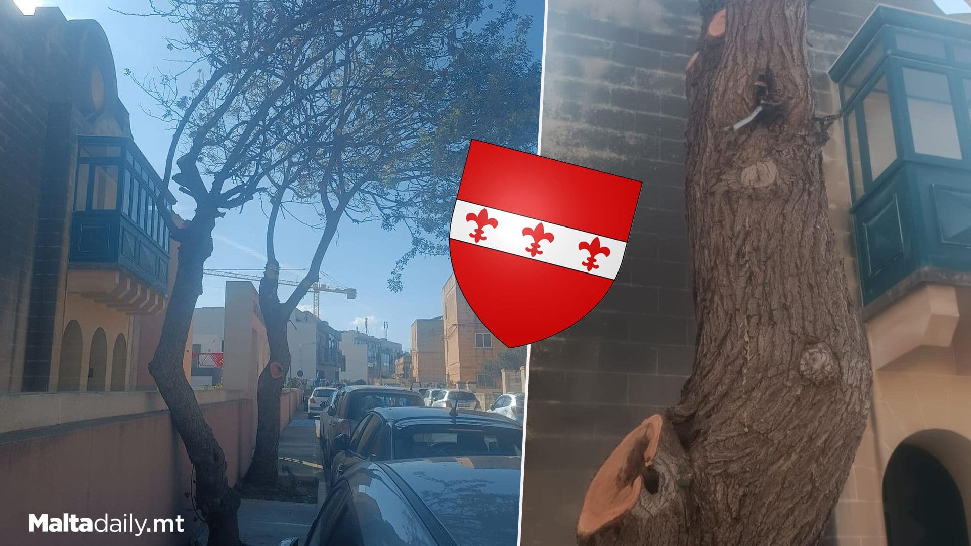 St Venera Council Raises Alarm Over Impermissible Tree Felling