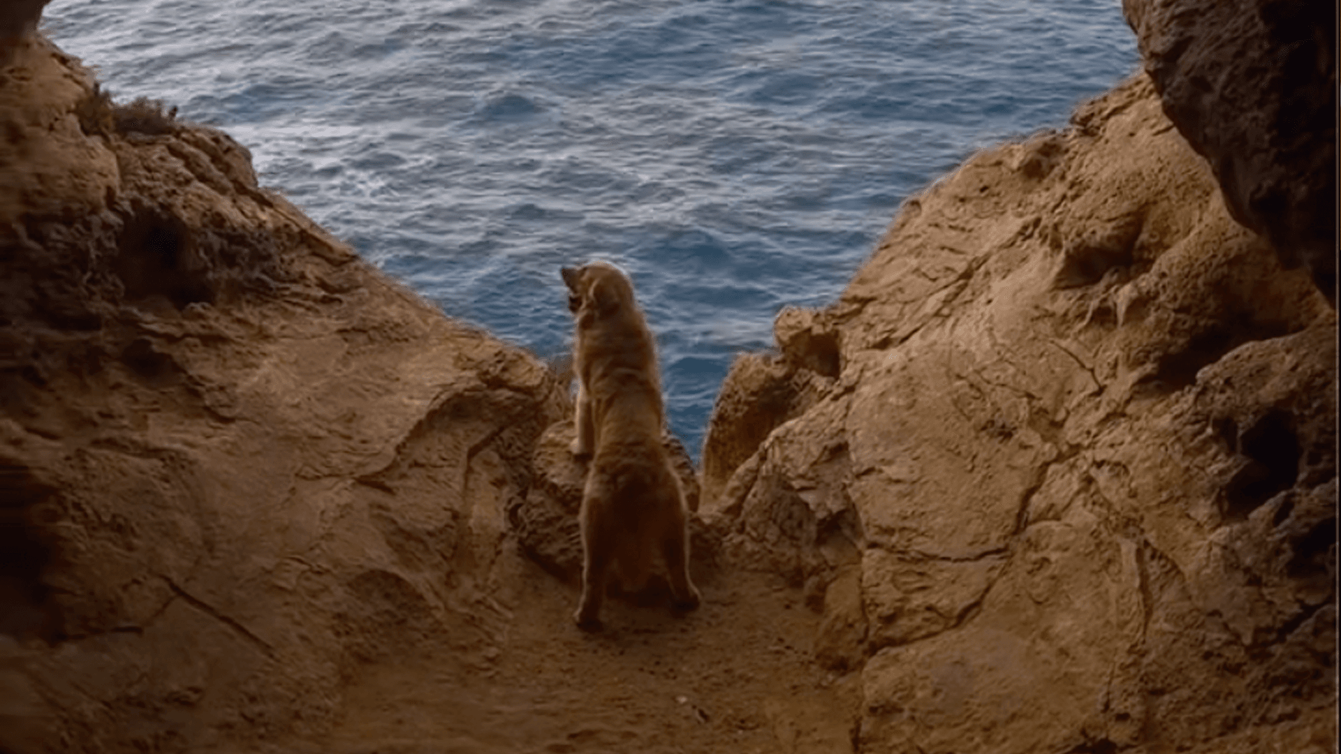 Local Captures Stunning Sunrise At Għar Ir-Riħ With Golden Retriever