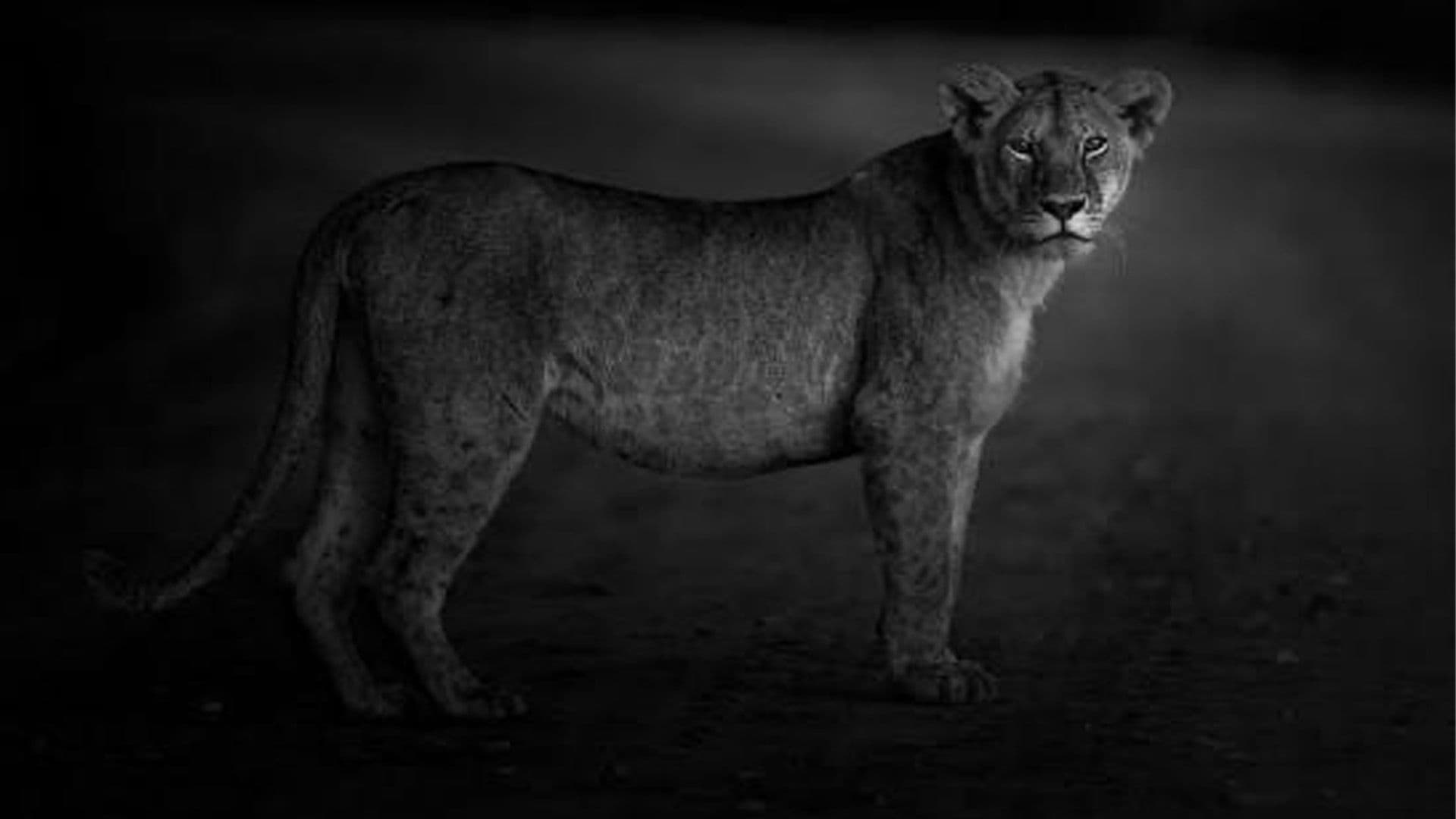 Maltese Based Photographer Launches €500 Grant For Emerging Artists