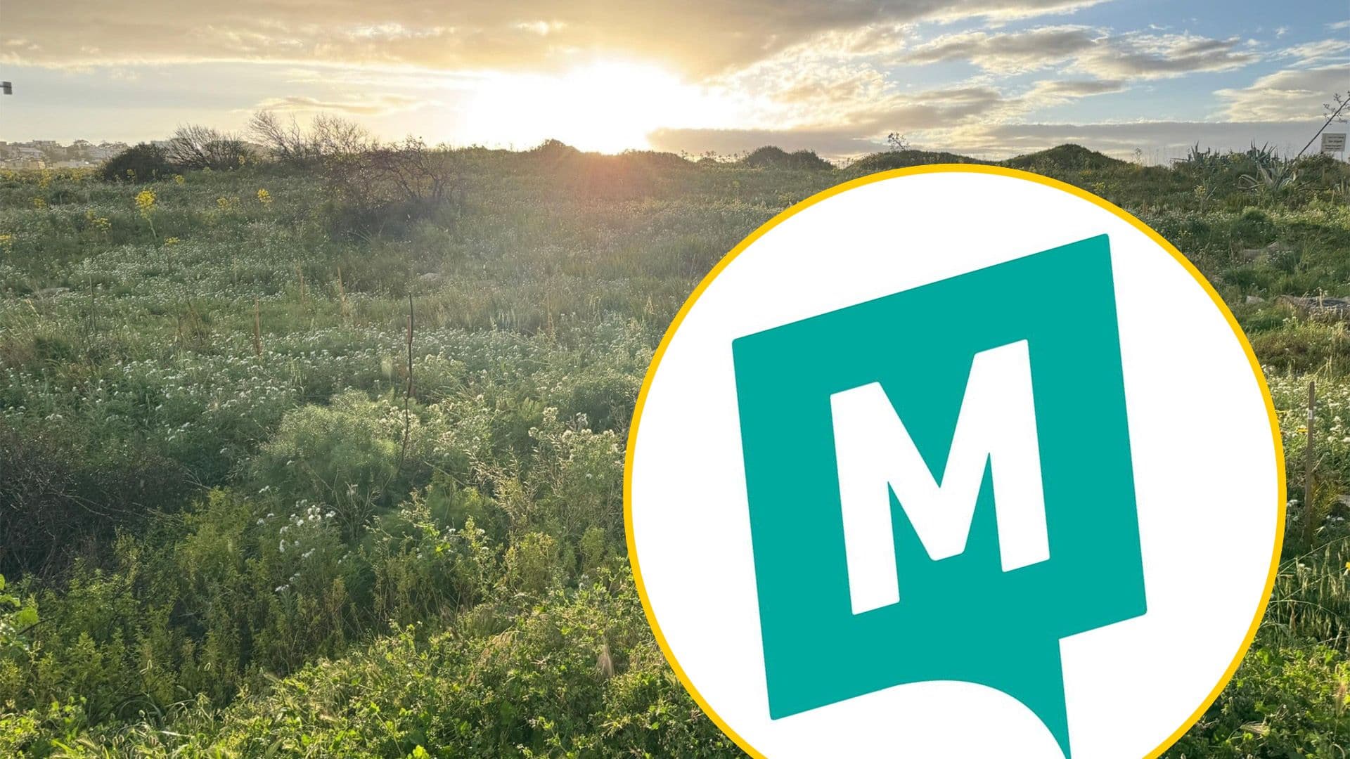 Momentum Writes to Prime Minister, Opposition Leader And Valletta FC Against Pembroke Football Ground