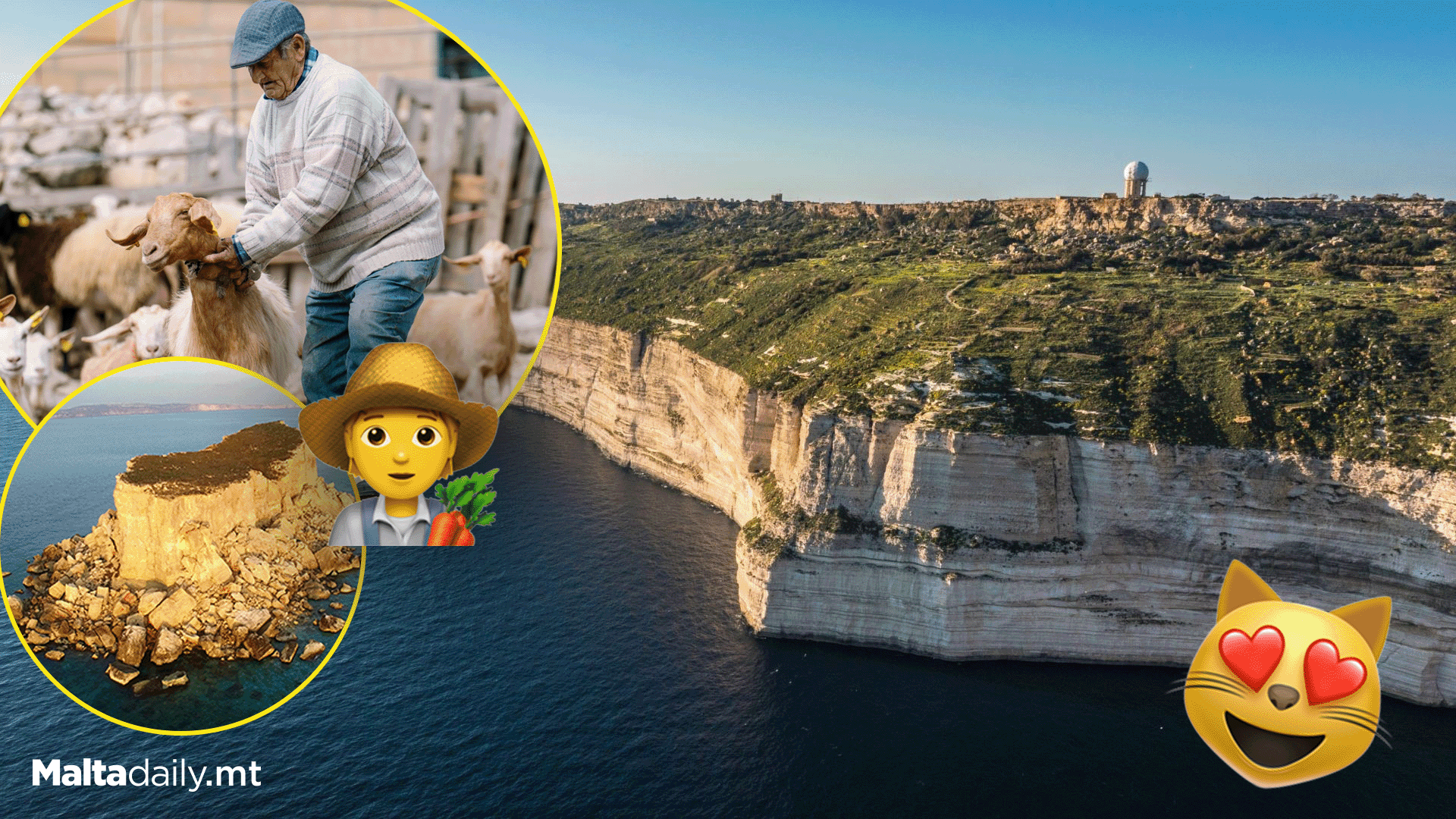 Fun Facts You Might Not Know About: Dingli!