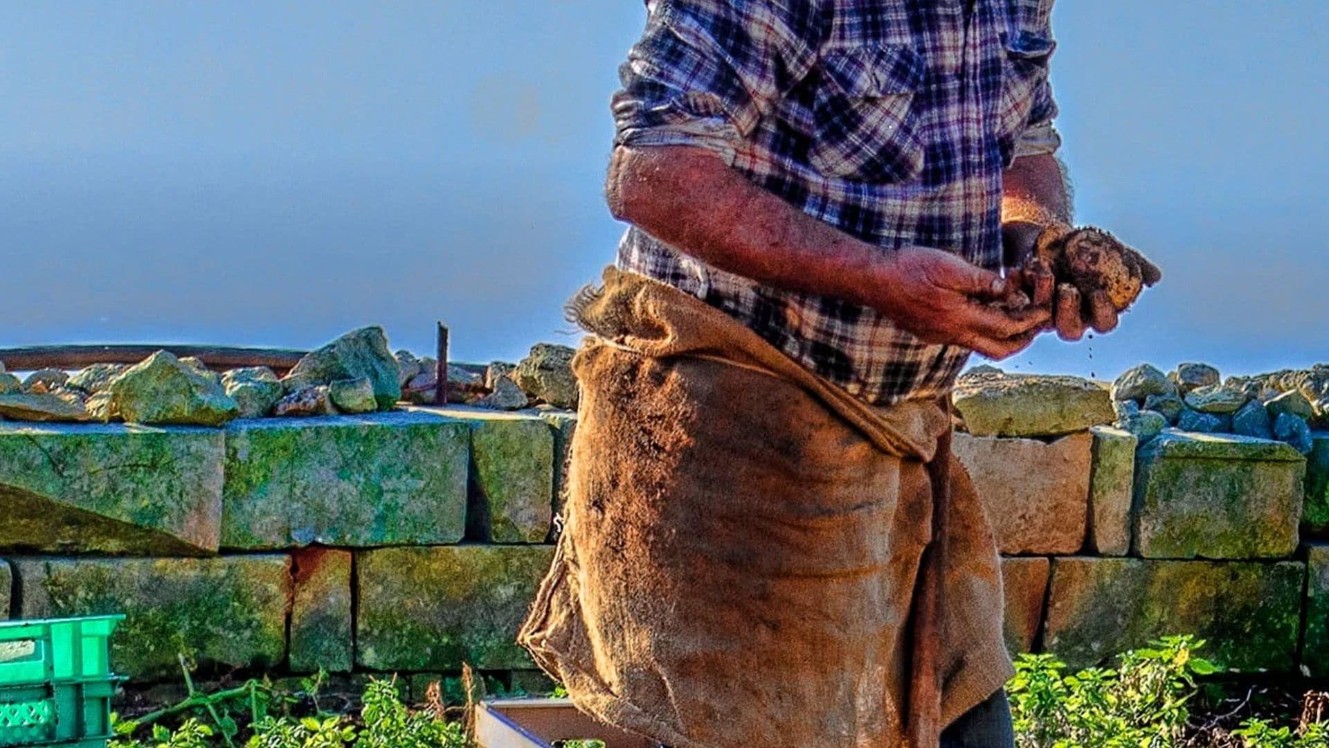There Are Over 3,800 Farmers Registered In Malta