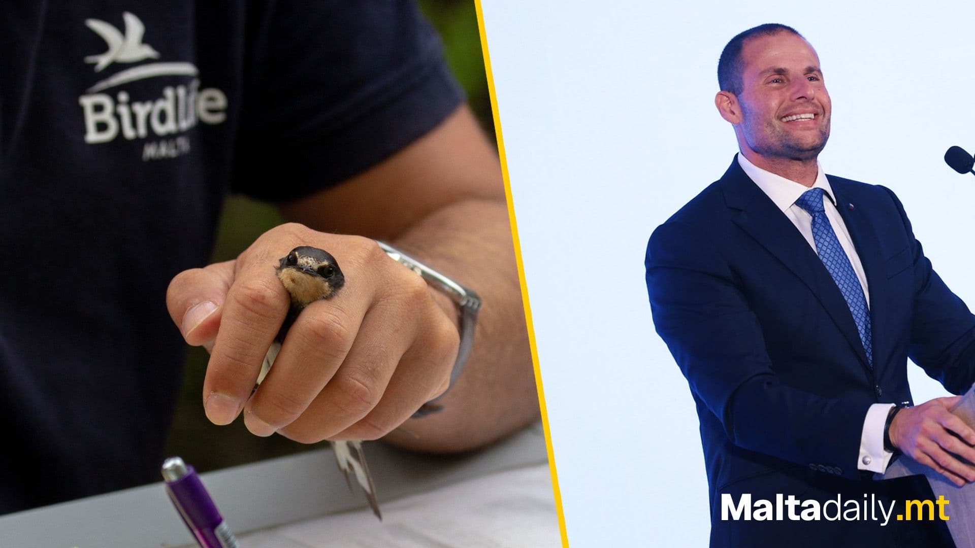 Birdlife Malta Condemns PM Robert Abela’s Choice to Loosen Bird Ringing Laws