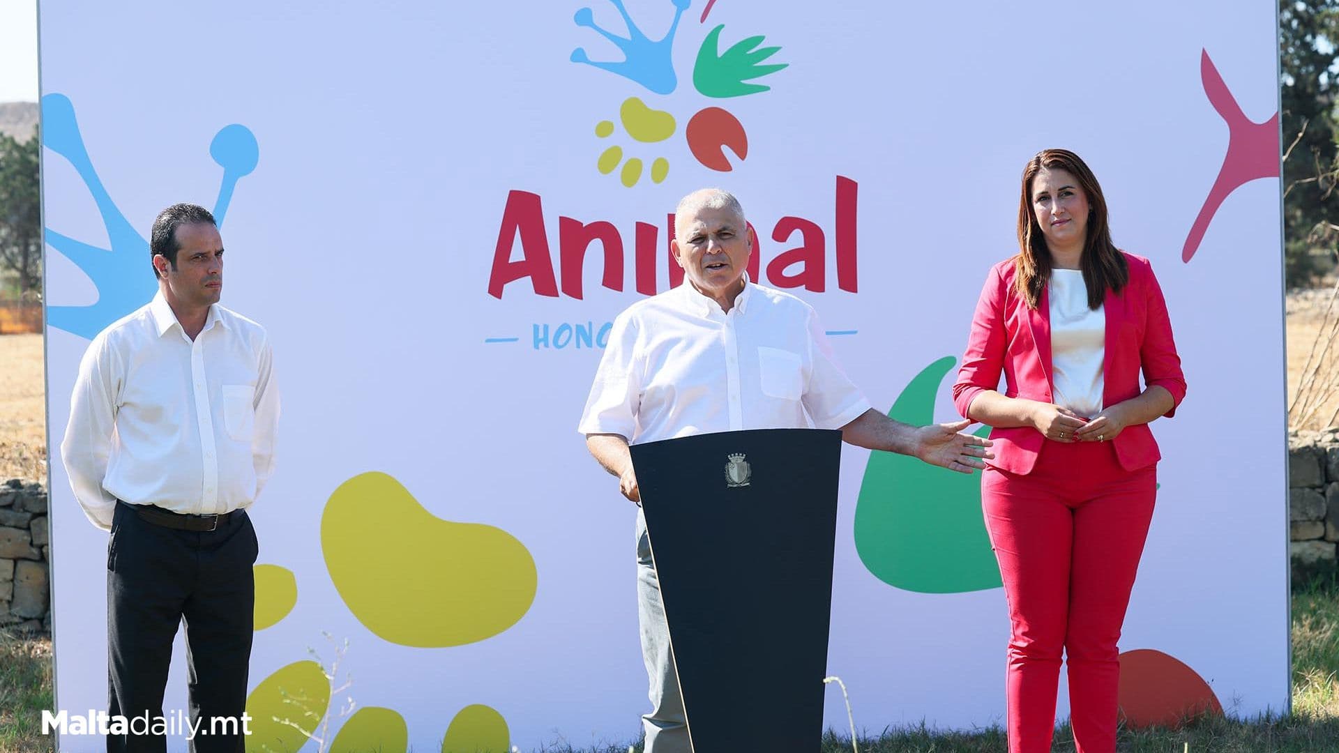 Nominations Open For Animal Honours Awards 2025