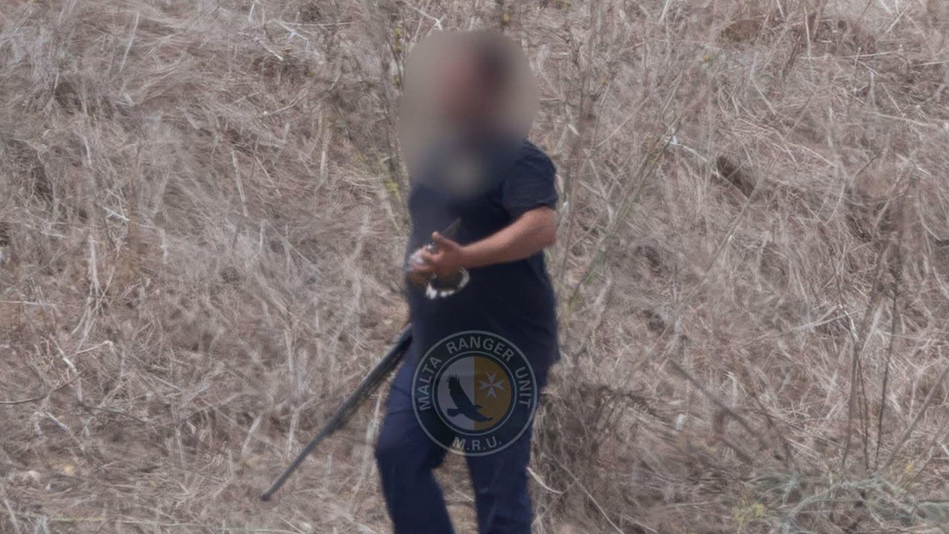 Hunter Caught Shooting Turtle Dove 4 Hours After Season Closed With Illegal Gun