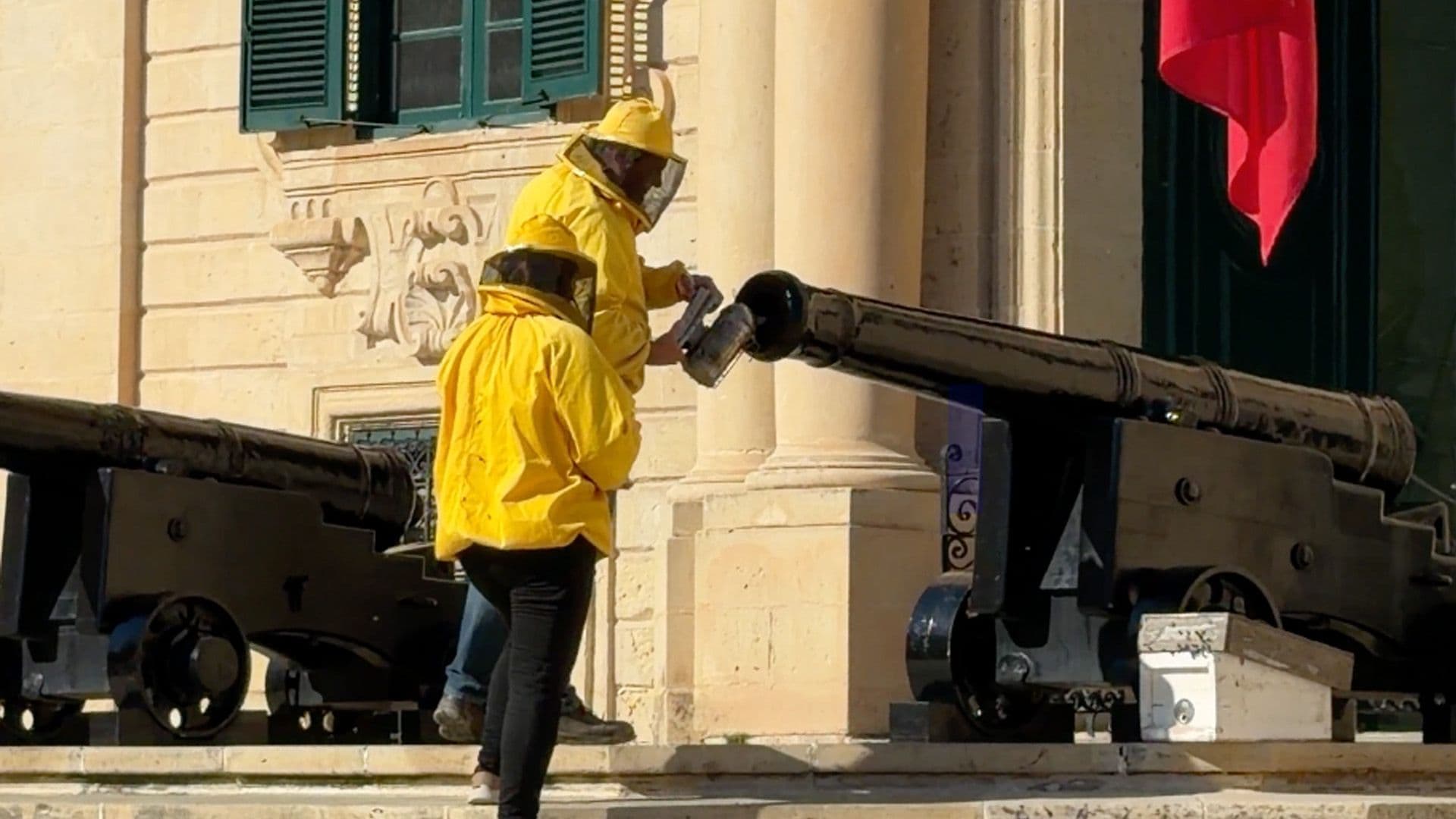 Insect Hive Being Cleared From Castille’s Cannons