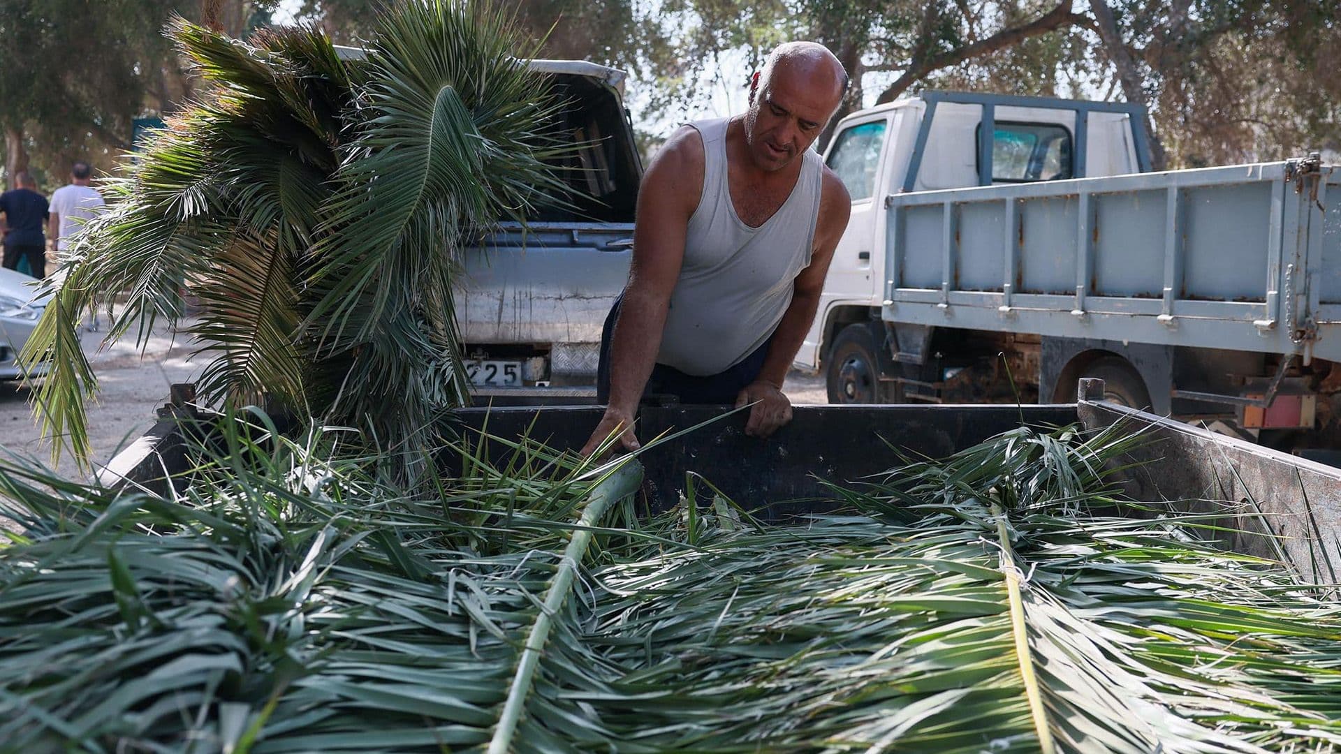 Palm Leaves Distributed To Fishermen Ahead Of Lampuki Season