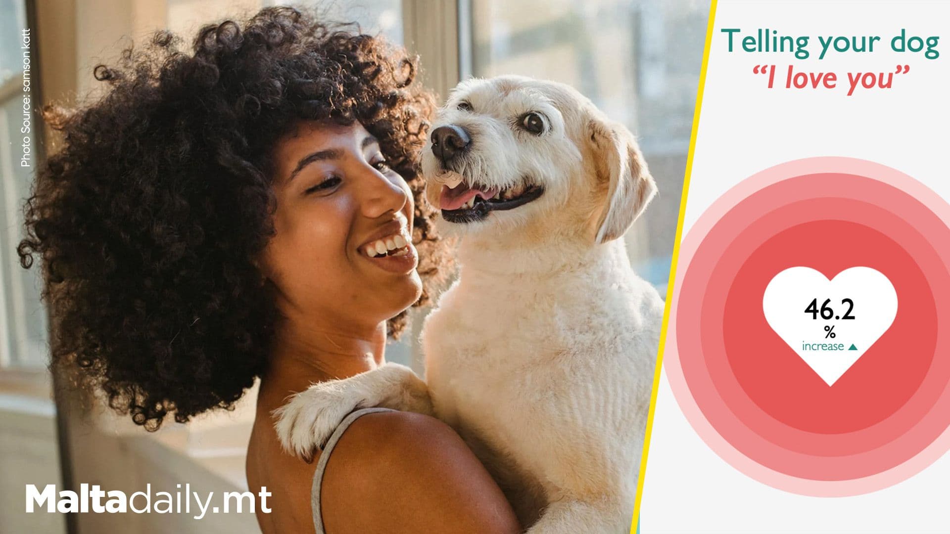 “I Love You” Boosts Dogs Heart Rates By 46%