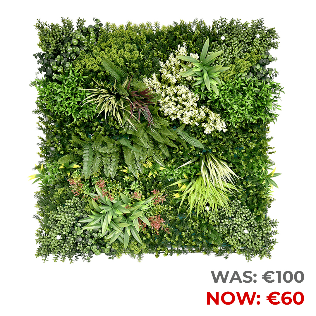 Black November Deals You Can’t Ignore — Only at OK Home!