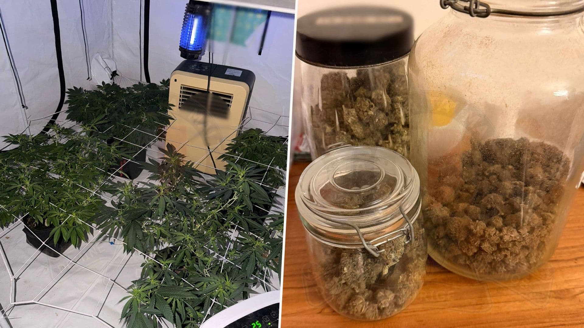 Four Men & One Woman Arrested After Drug Hub Bust