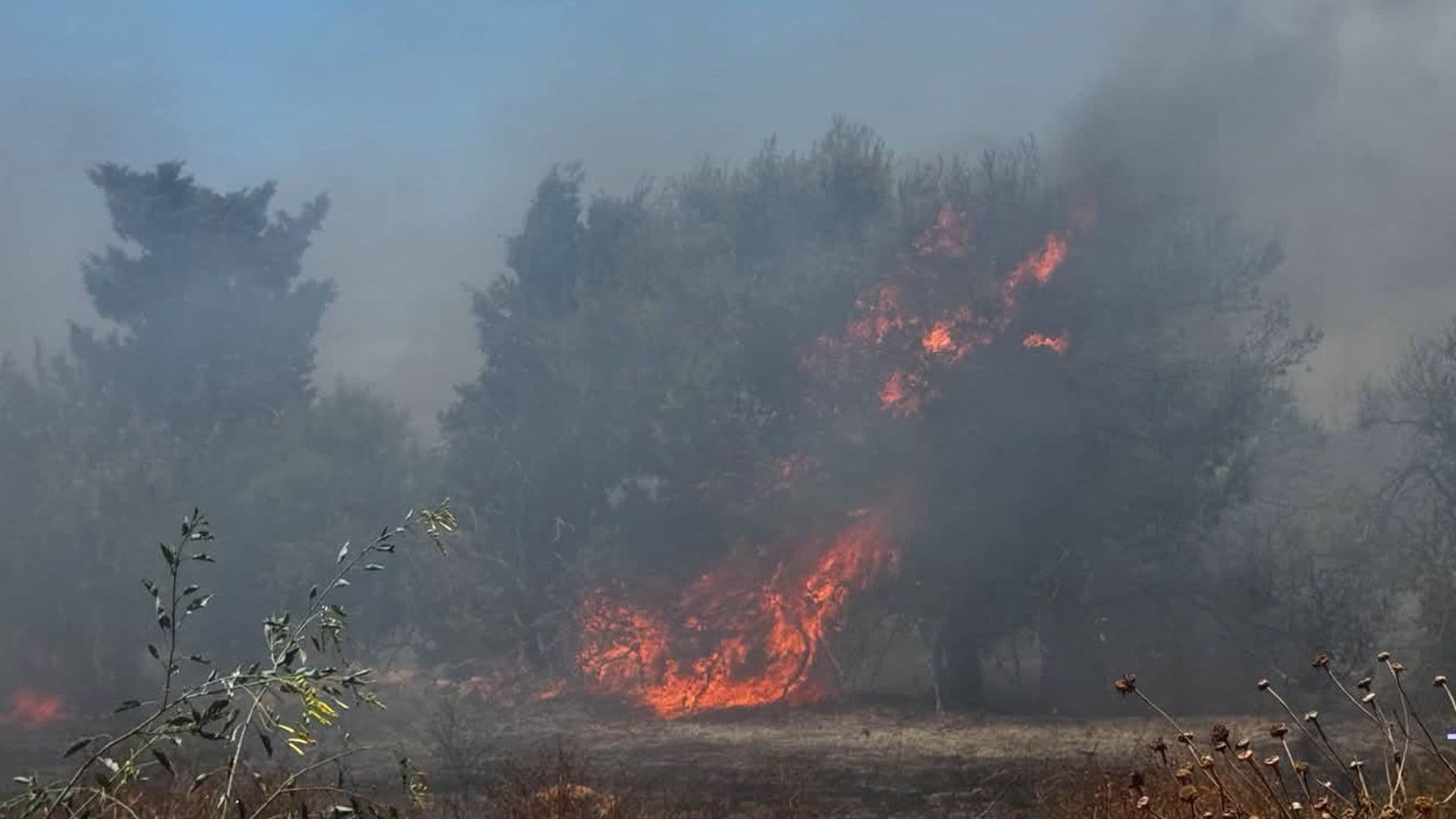 Grass Fire Brought Under Control By CPD Near Addolorata Cemetery In Paola