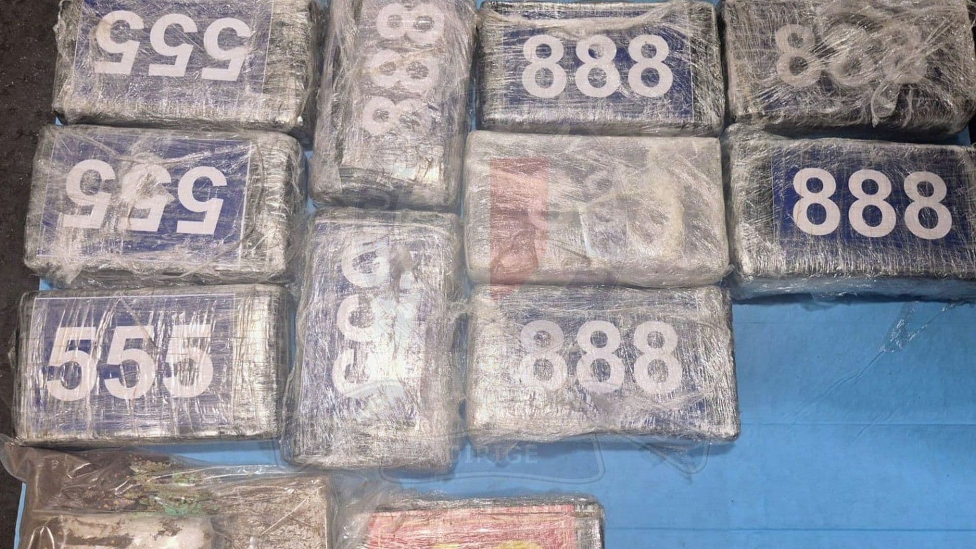 Two Maltese, Two Italians Arrested For Trafficking 12 Kilos Of Cocaine From Sicily