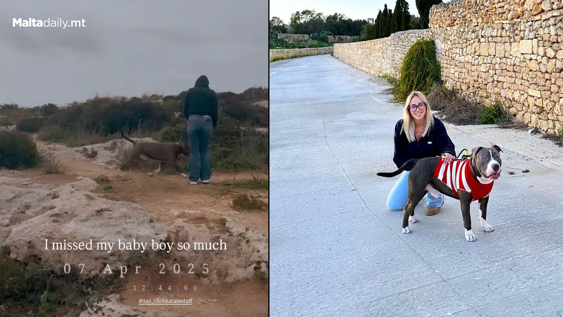 Erika Reunites With Beloved Dog Taz