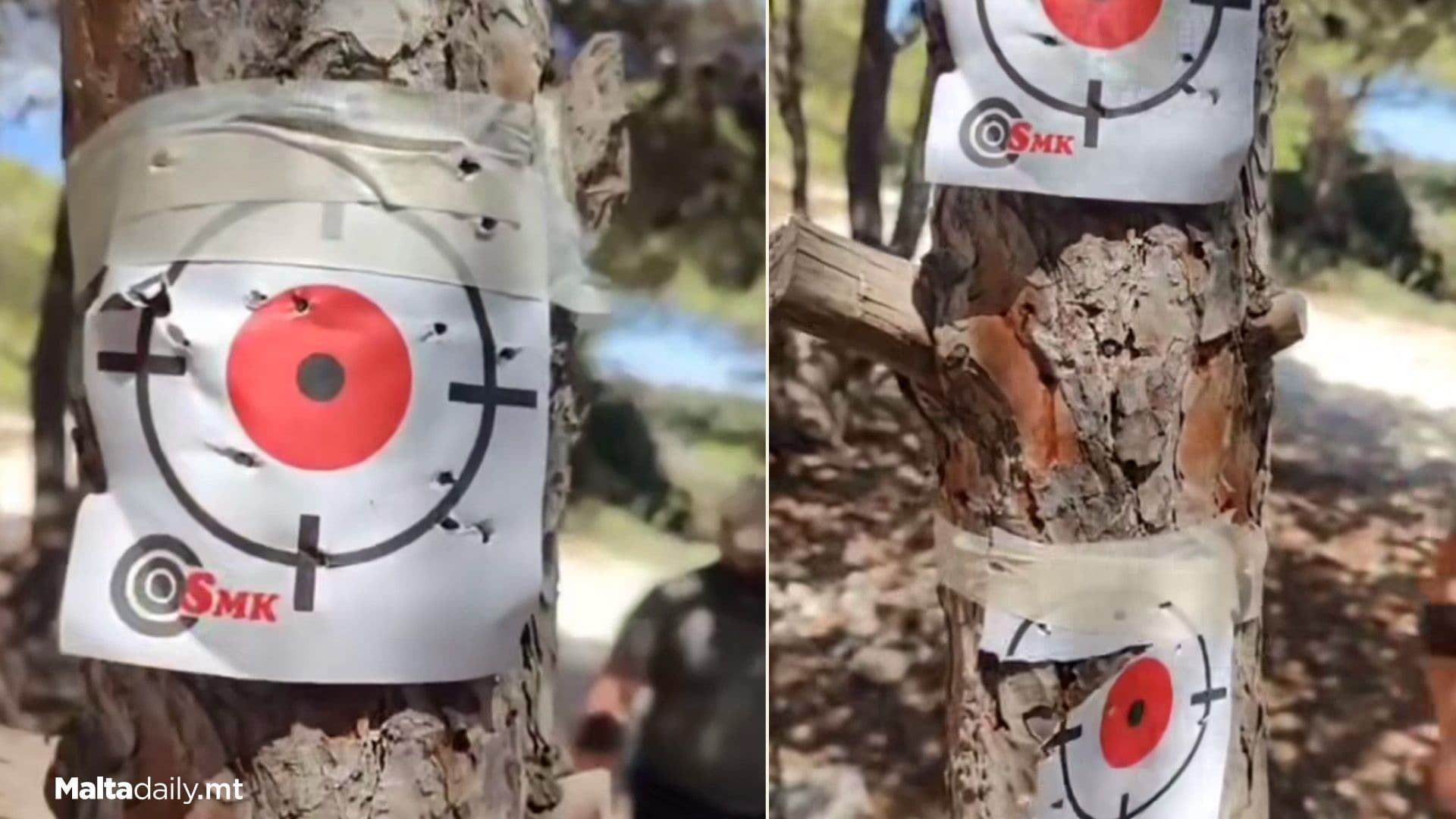 Illegal Air Gun Target Shooting On Trees In Public Space