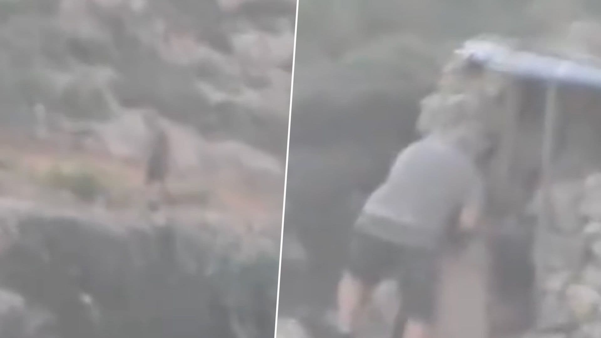 Gozo Finch Hunter Reportedly Caught Trapping Birds Before Season Opens