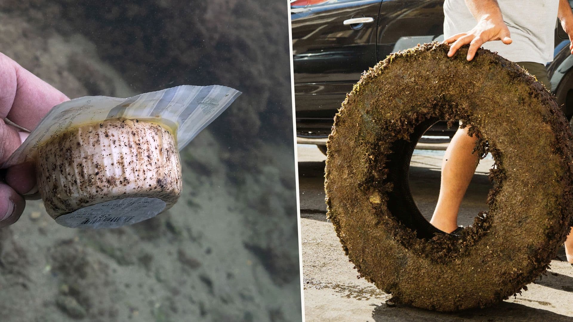 Nearly 19 Tonnes Of Marine Debris Removed From Local Waters