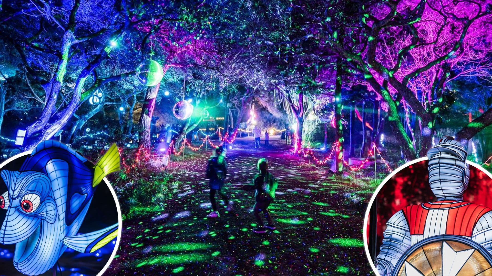 The Magical Illuminated Trail Opened This Weekend and It's GORGEOUS