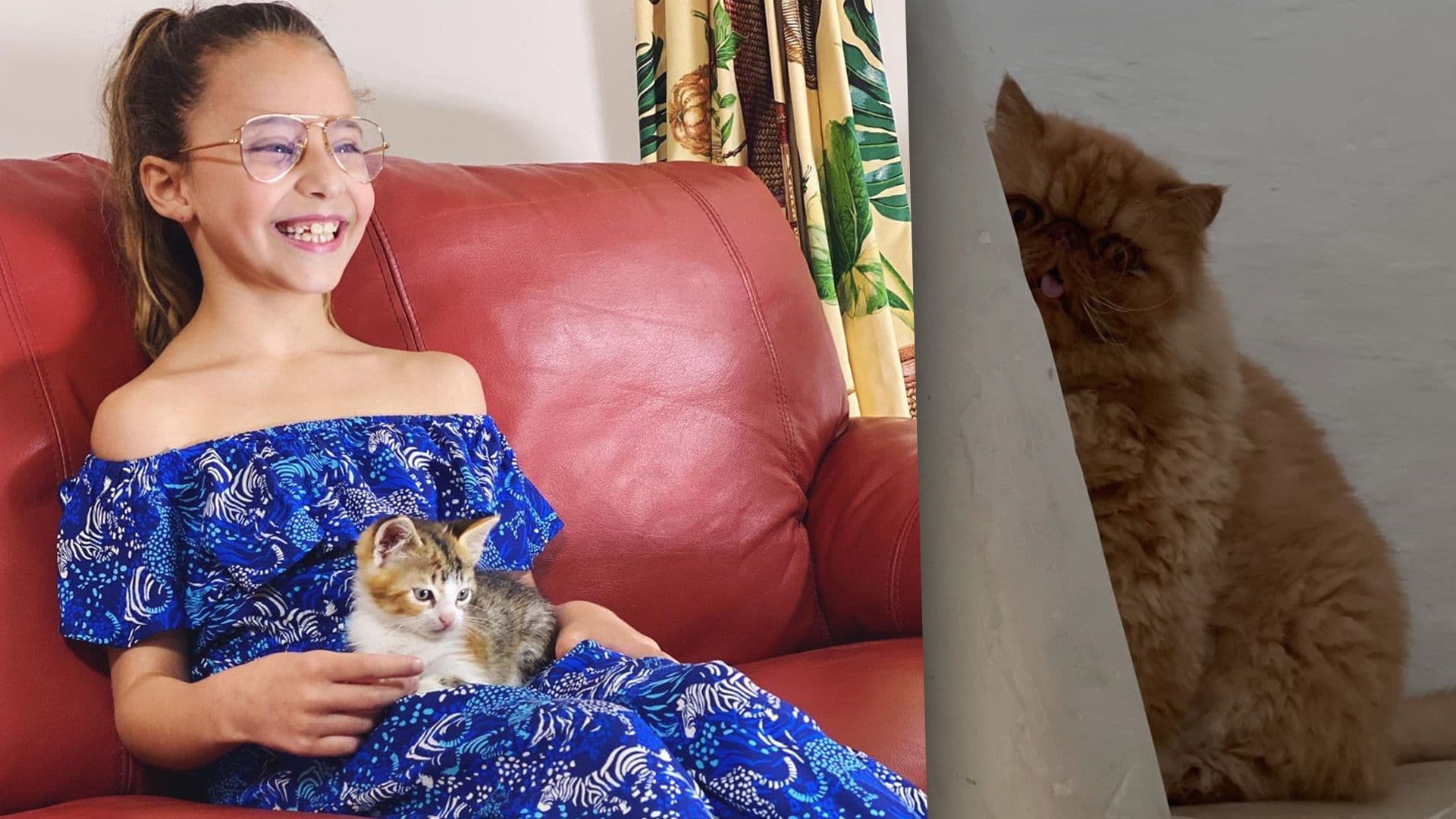 Lydia Abela Shares Daughter Giorgia Mae’s Cats For International Cat Day