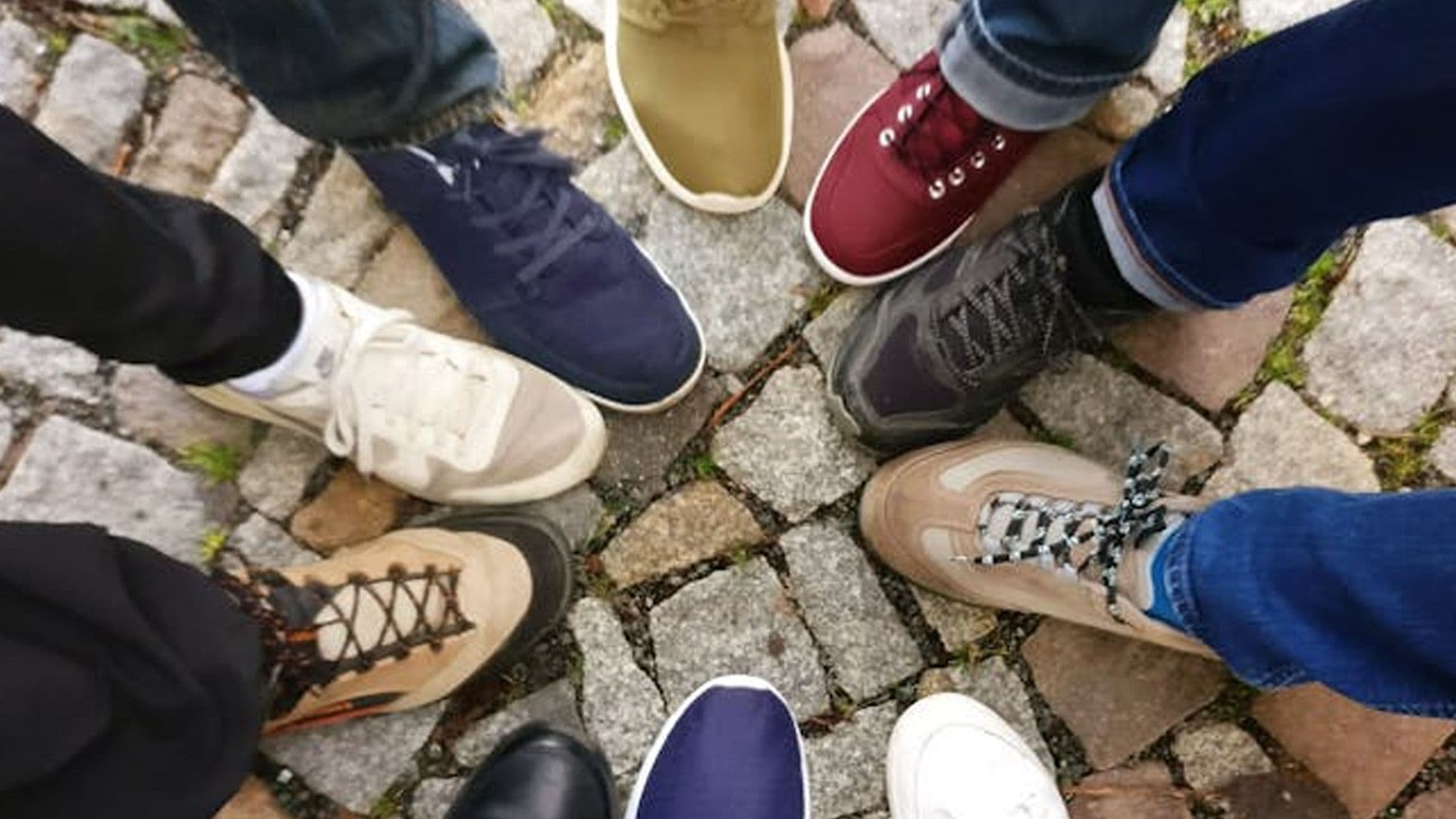 The Evolution Of Sedqa