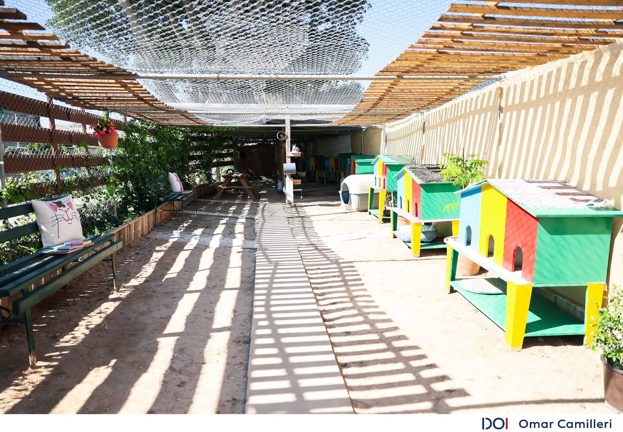 Malta’s First Cat Café Opens In Żurrieq