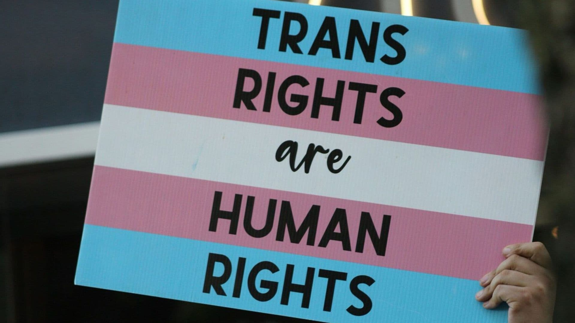 Understanding Gender Based Violence