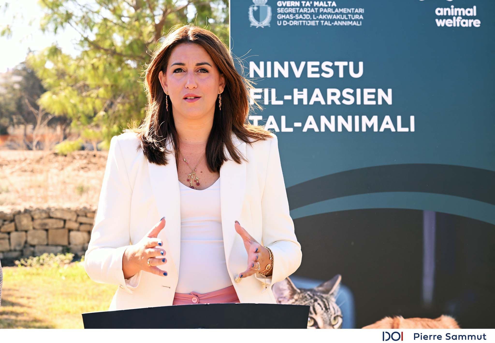 25 Pet Grooming Establishments Officially Registered Under New Animal Welfare Standards