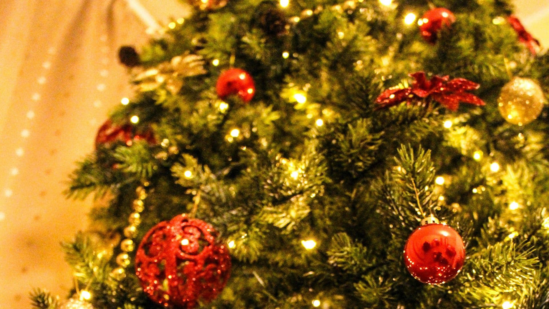 The Origin of the Christmas Tree
