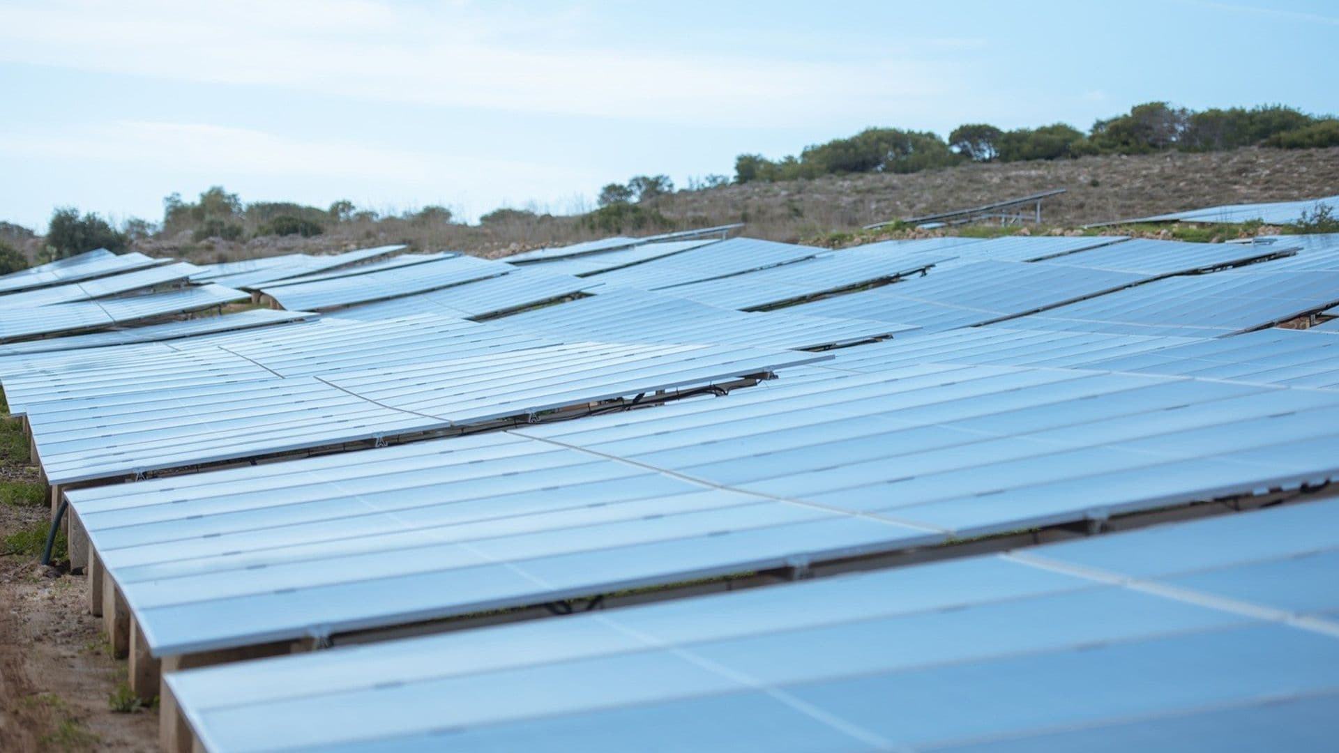 Danish Village Inaugurates New Solar Farm Project