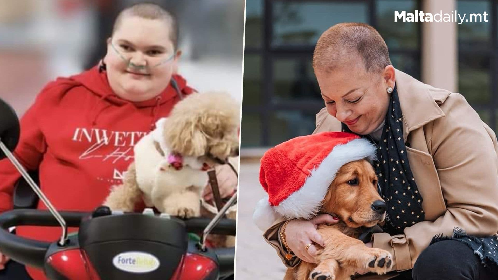 Annual Hospital Dog Walk To Take Place In Memory Of Jake Vella