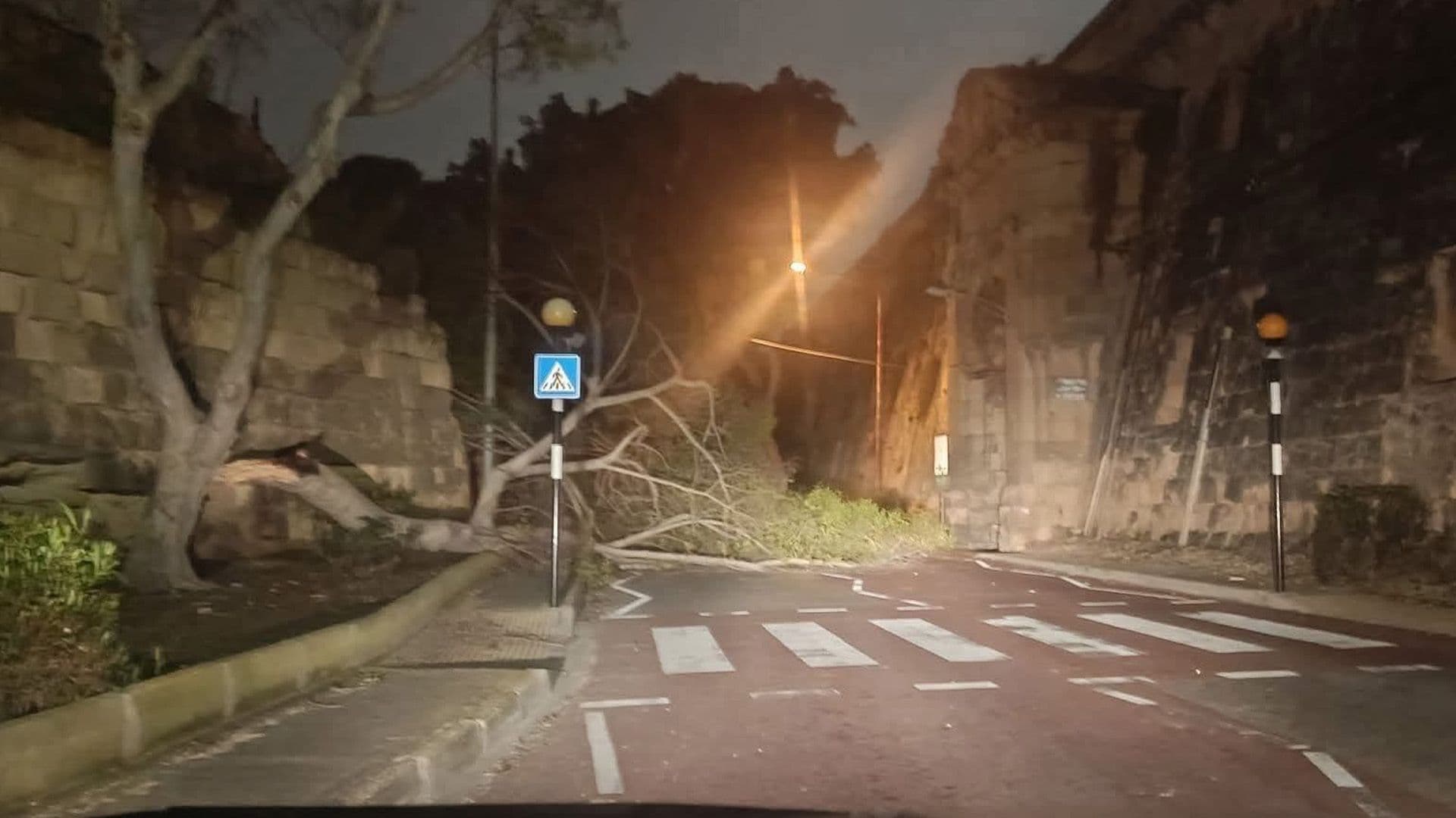 Tree Falls In Bormla Close To Verdala Secondary School