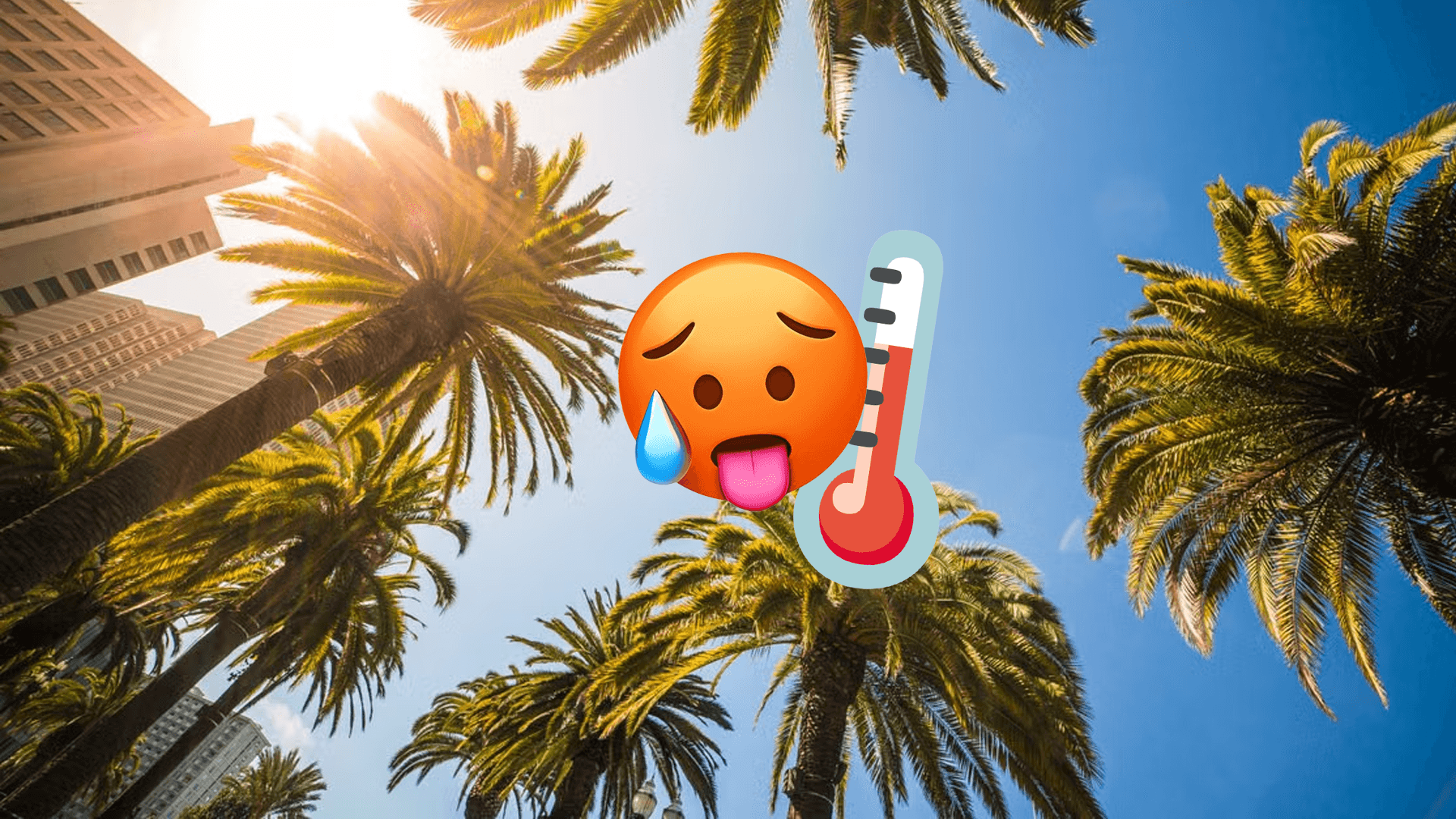 Hot And Sunny Weekend Awaits With Temperatures Set To Feel Like 36°C