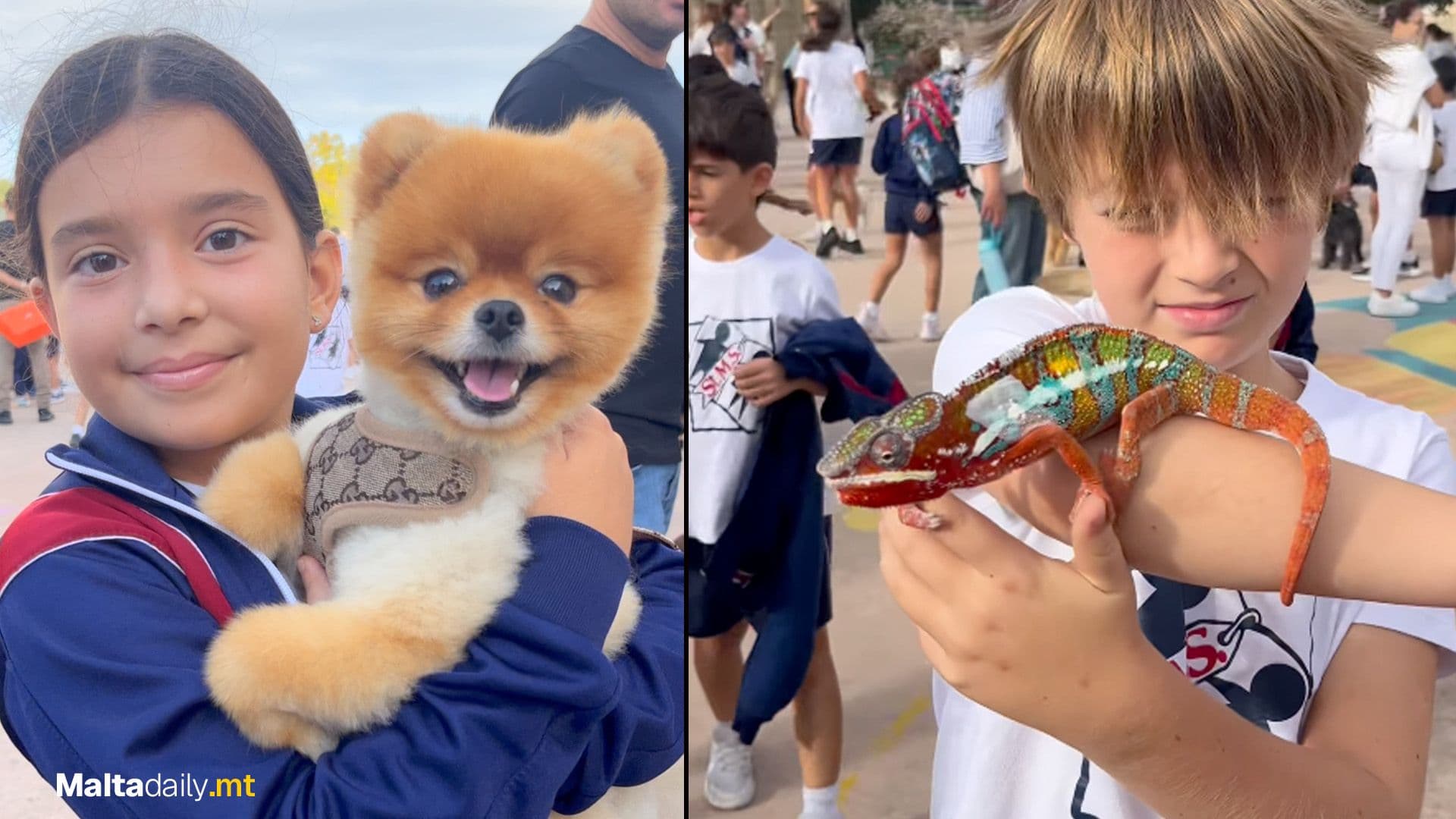 Students Greeted By Animals At St Michael School For Pet Day