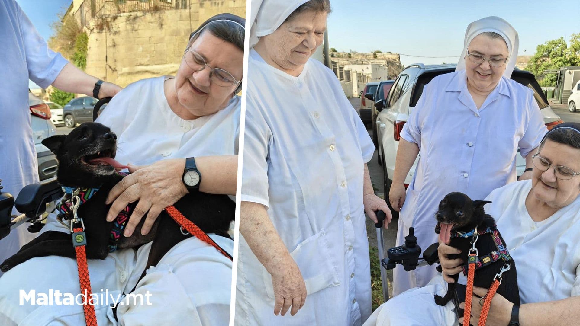 Beloved Popeye Finds His Forever Home