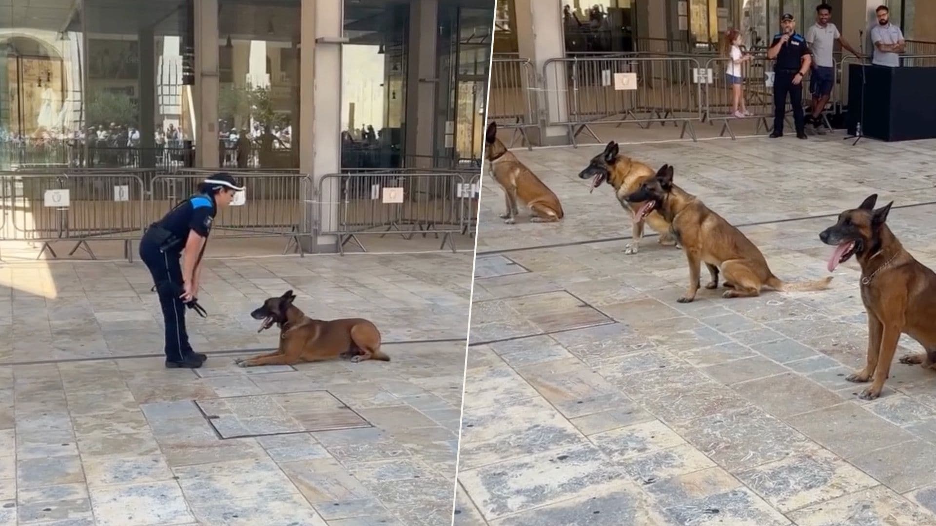 K9 Police Unit Show off Their Skills During Malta Police Week