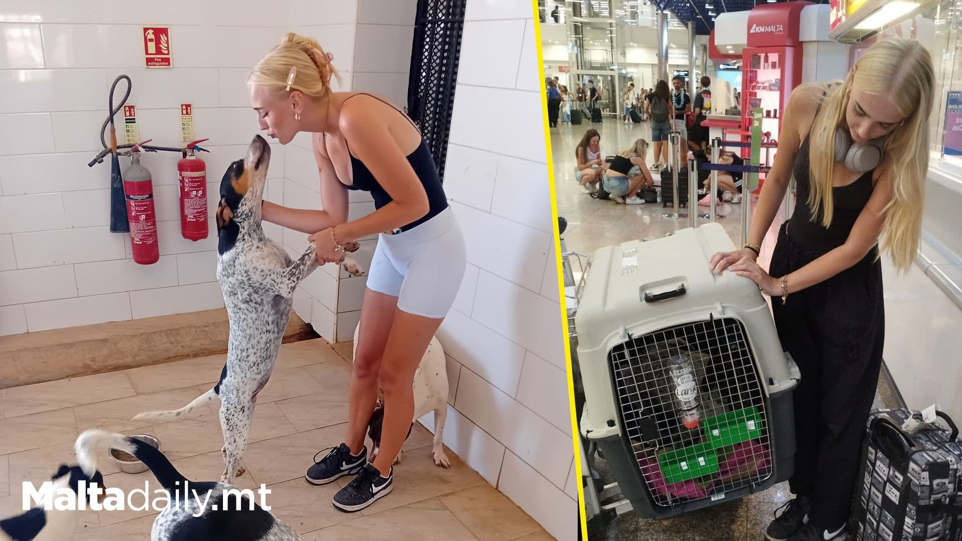 German Student Volunteer At local Shelter Adopts Dog From Malta