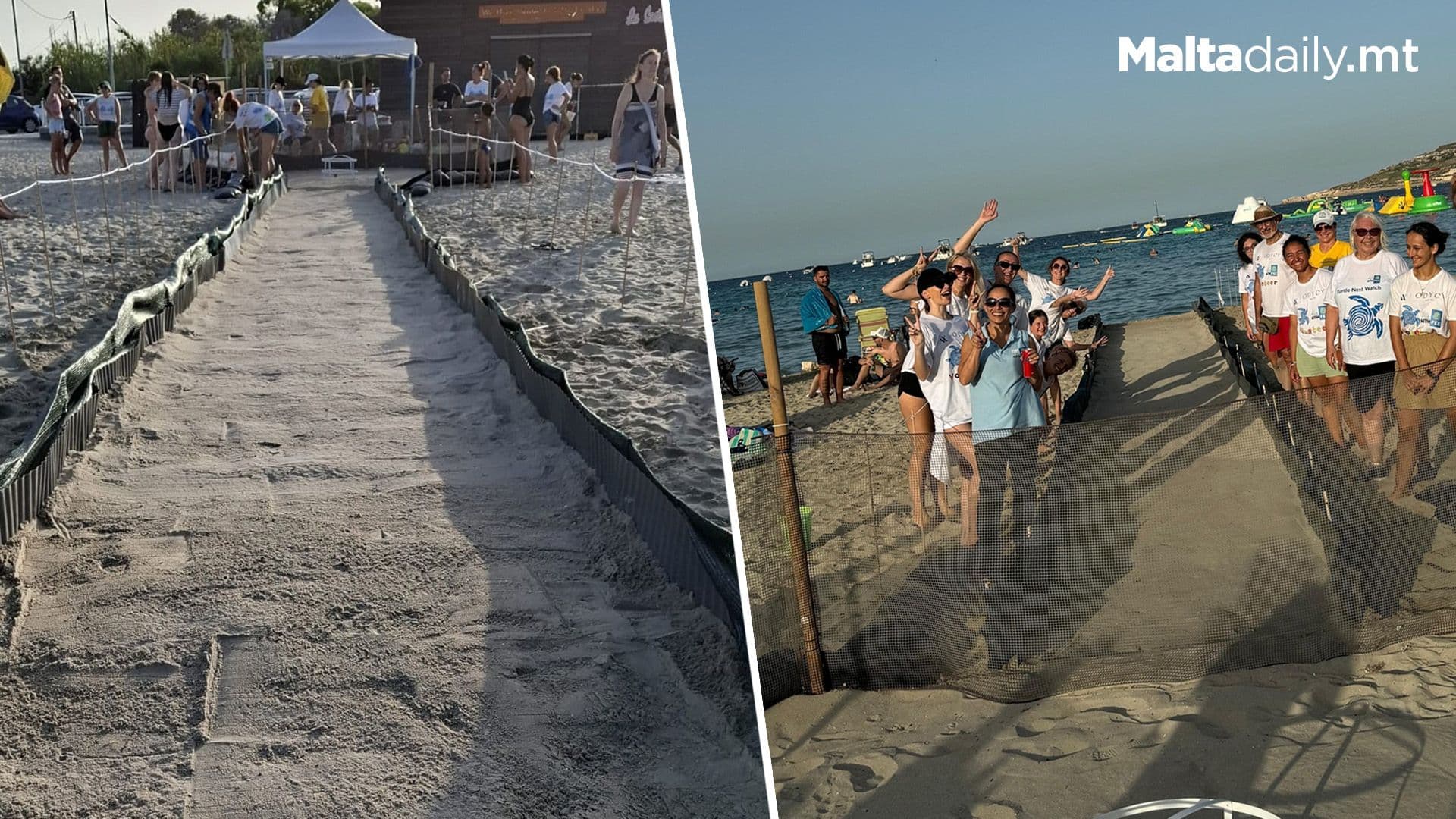 Runway Ready For Baby Turtles In Għadira Bay