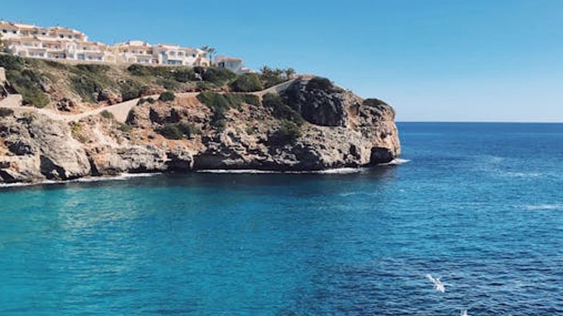 Malta Outlines Marine Protection & Fisheries Strategy In Athens