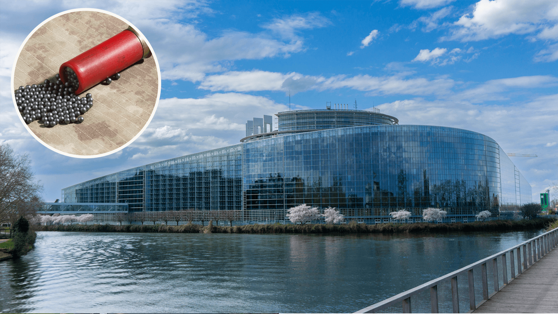 European Parliament Backs Proposed EU-wide Ban On Lead Gunshots