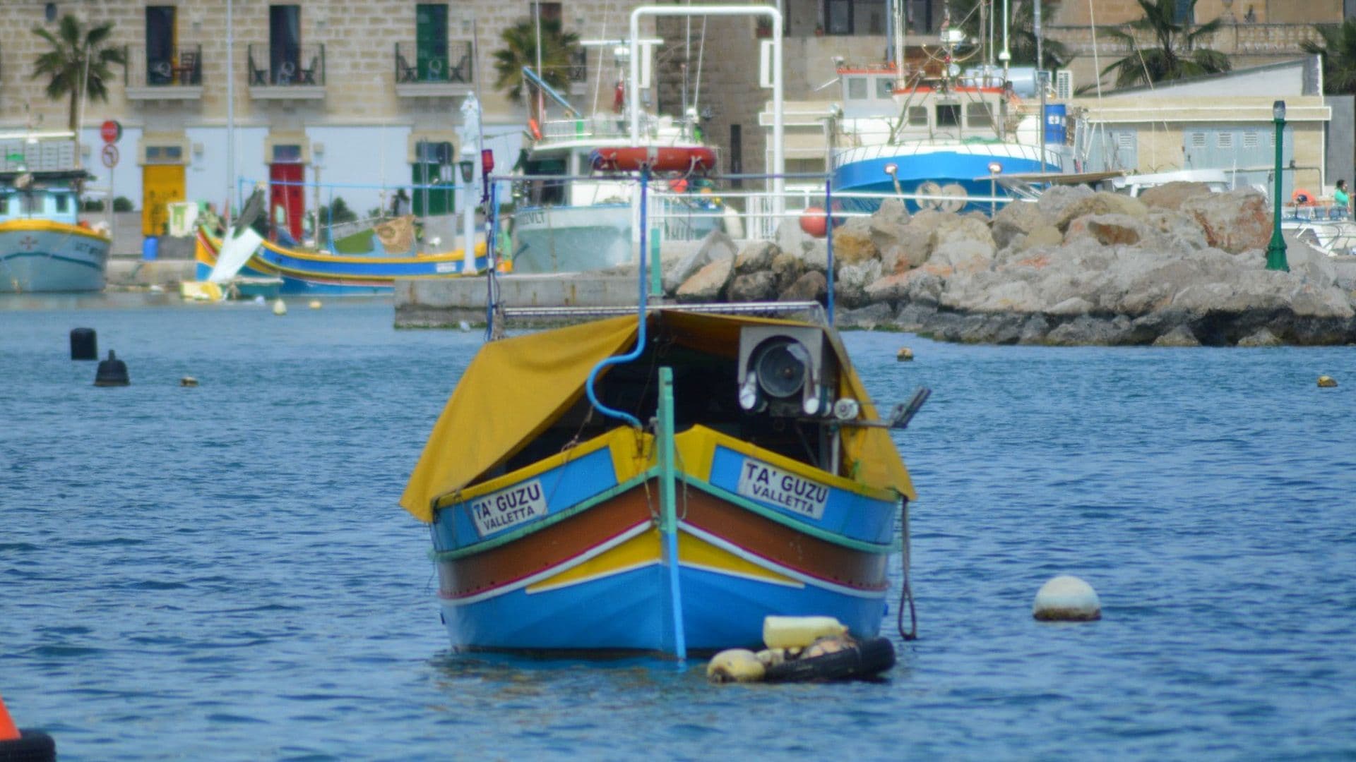 Fish Fest Returns On The 19th And 20th Of September