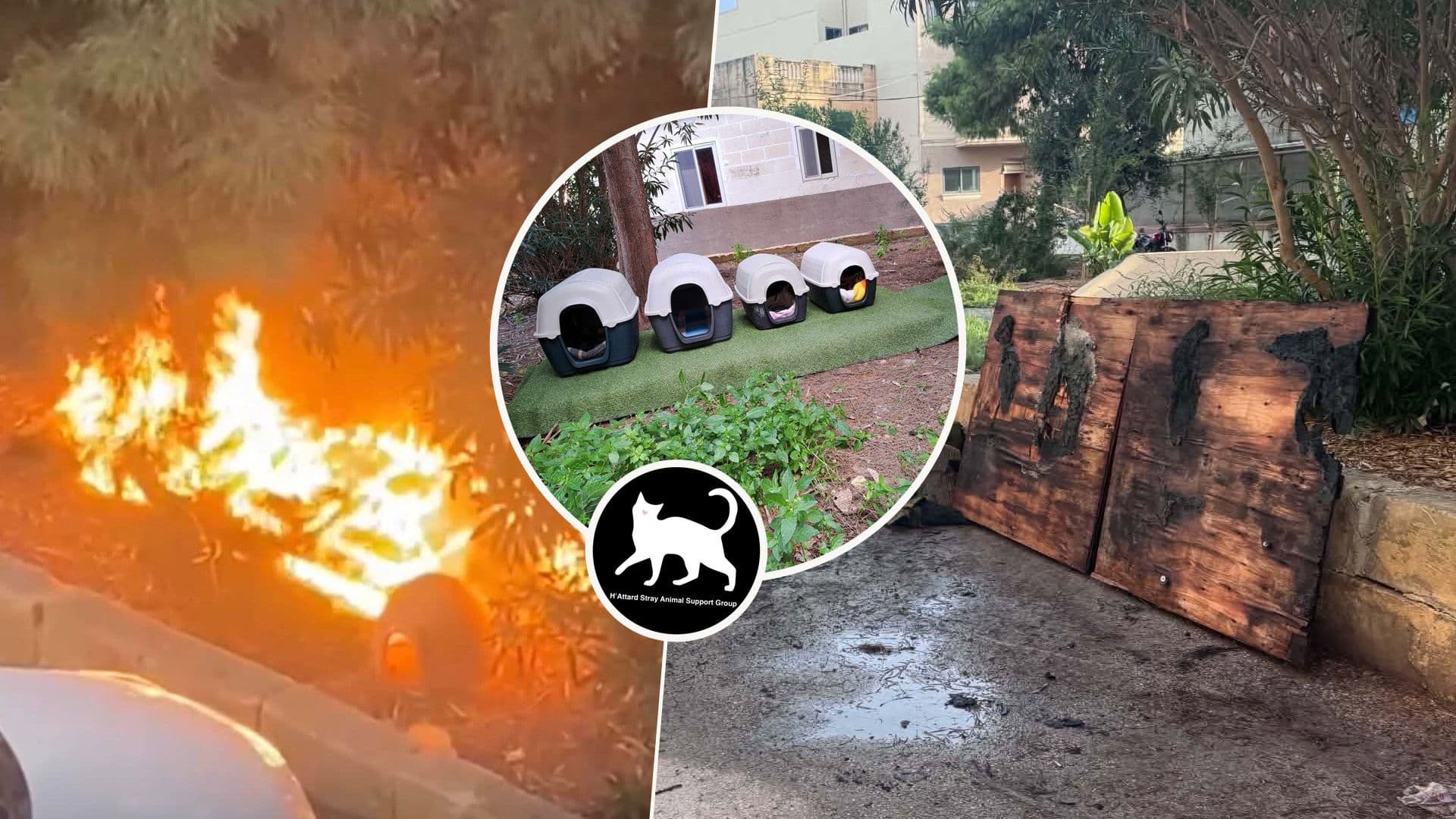 Fire Set & Destroys Four Cat Shelters In Ġnien Tal-Fuklar