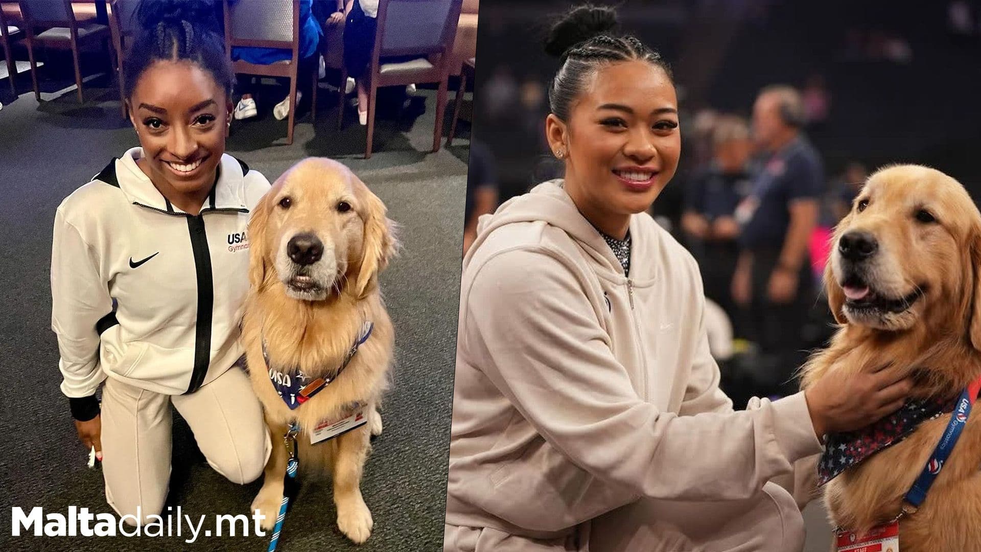 Meet Beacon, Team USA’s Therapy Dog