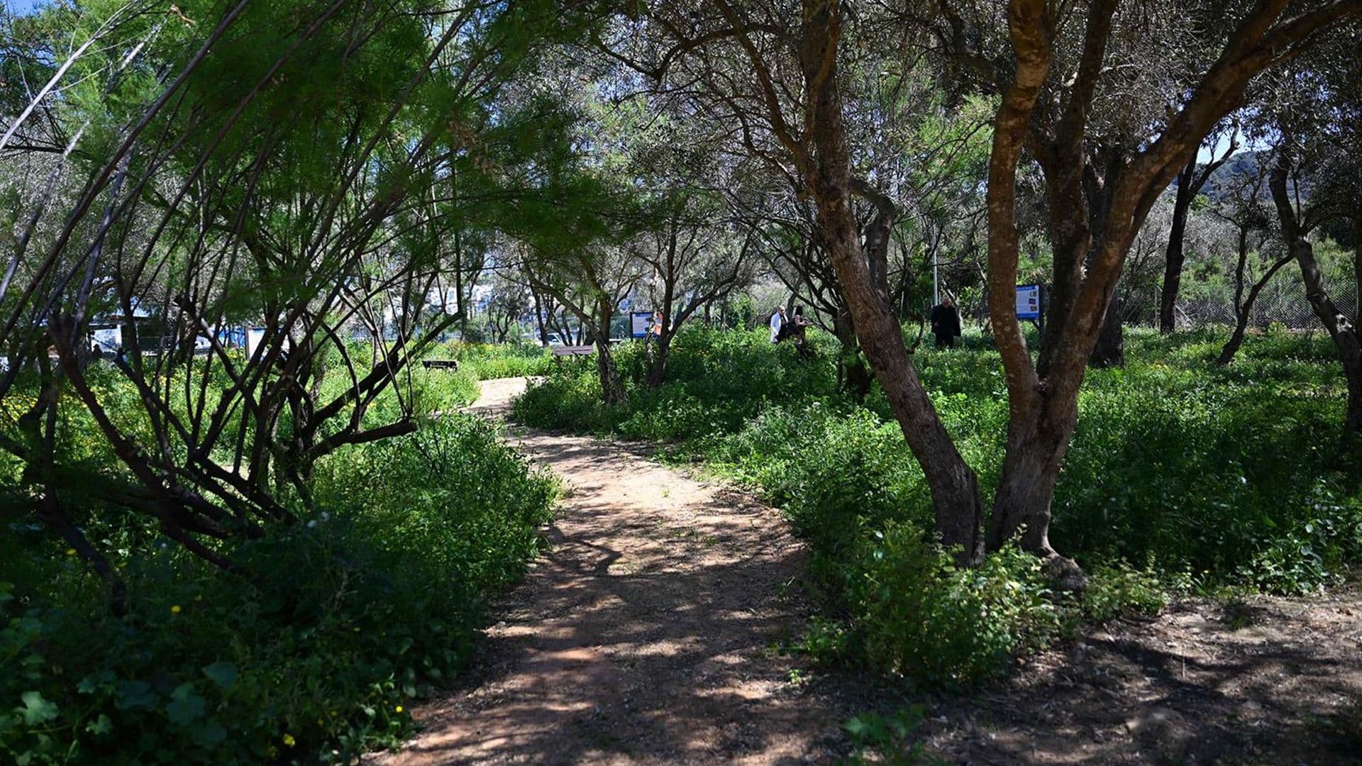 New 4,000 Square Metre Natural Space Opens Near Simar Nature Reserve