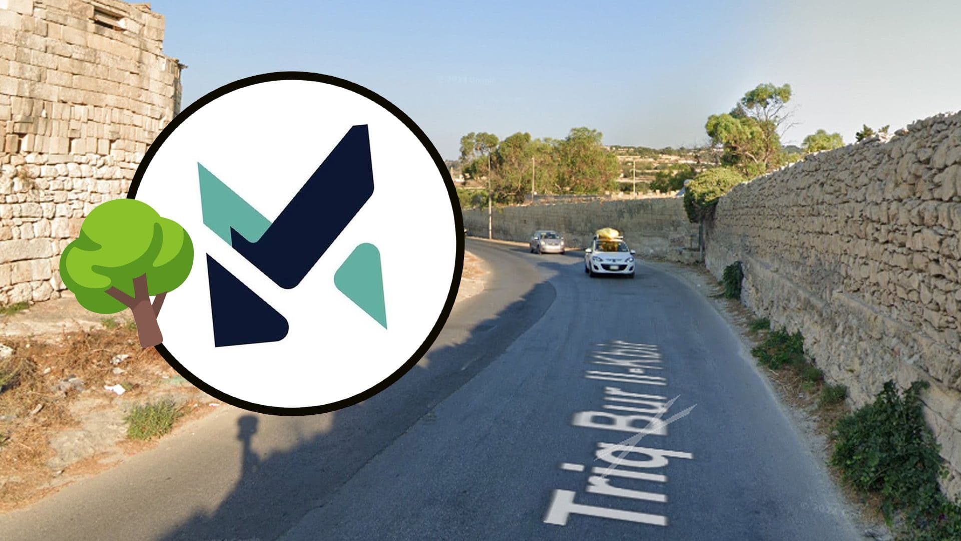 75 New Trees To Be Planted In Triq Bur Il-Kbir Area In Siġġiewi