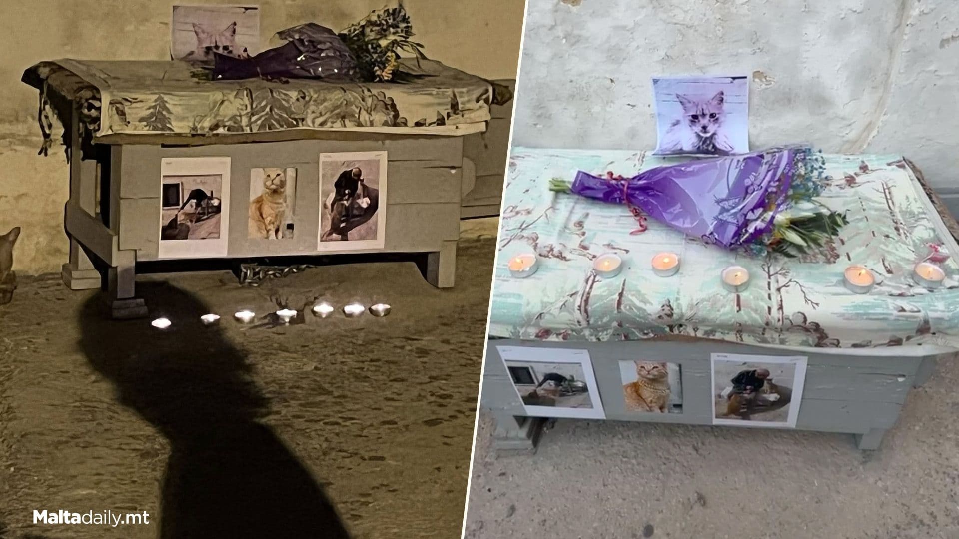 Vigils Held For Cats In Sliema & Gżira After Alleged Killer’s Arrest